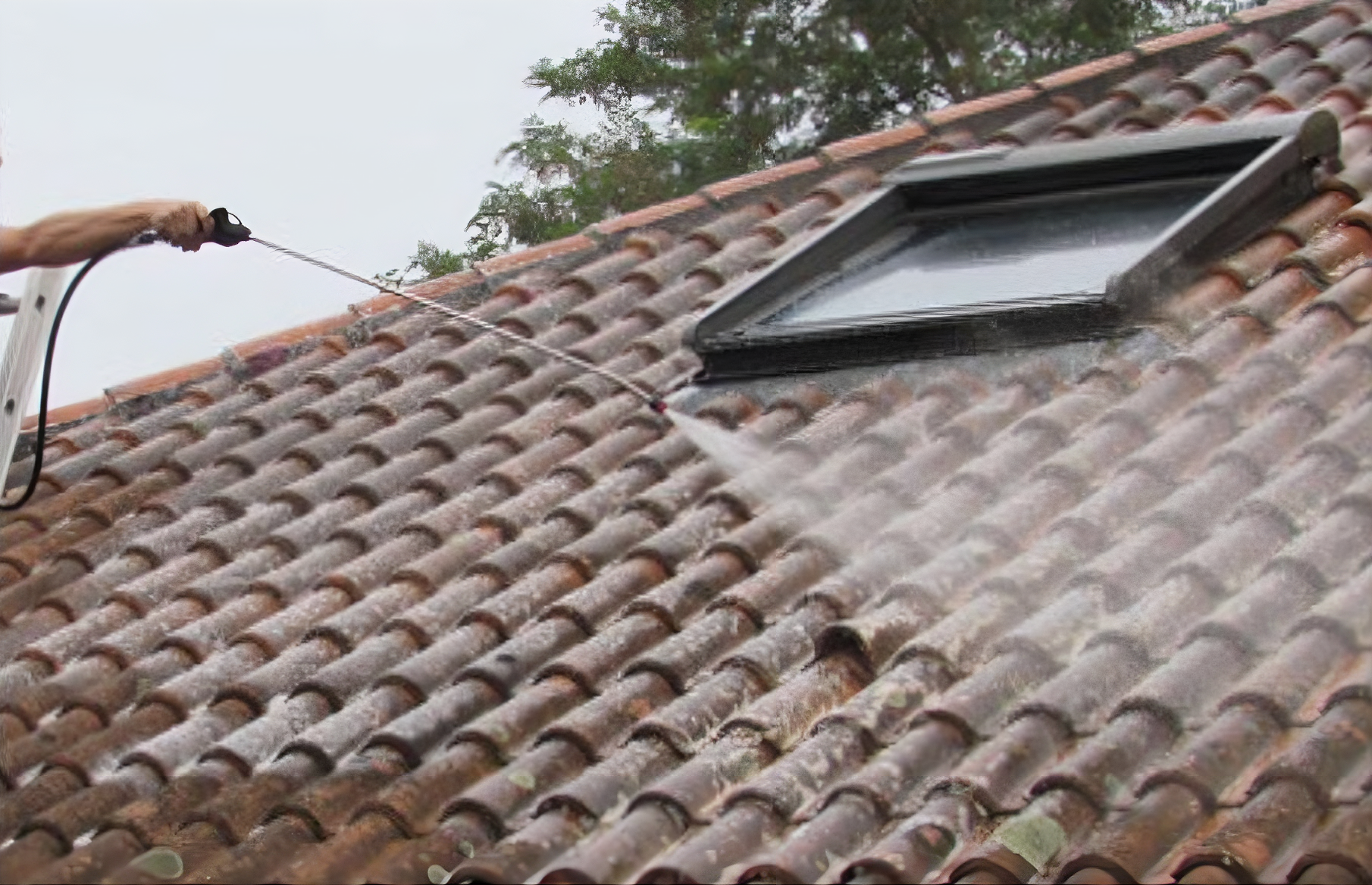 Démoussage de toiture